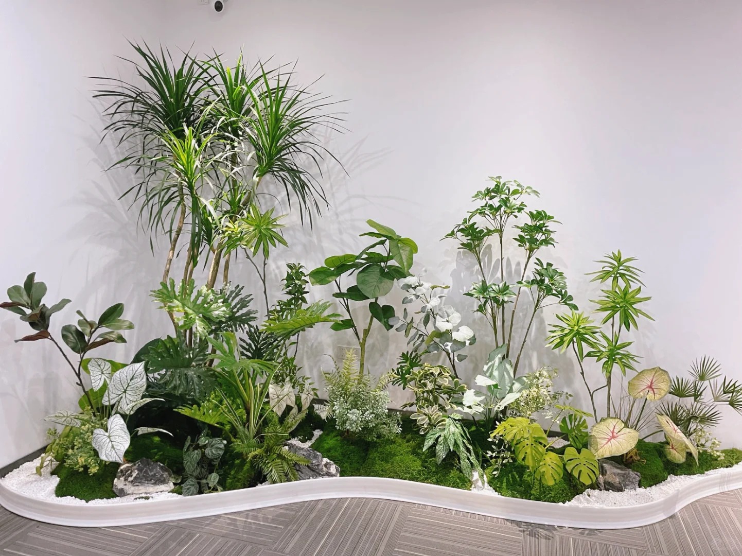 了解宁波奉化植物出租,拥抱清新自然风